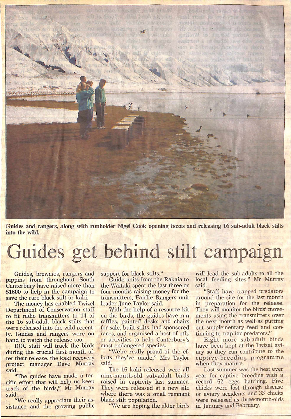 Guides get behind stilt campaign