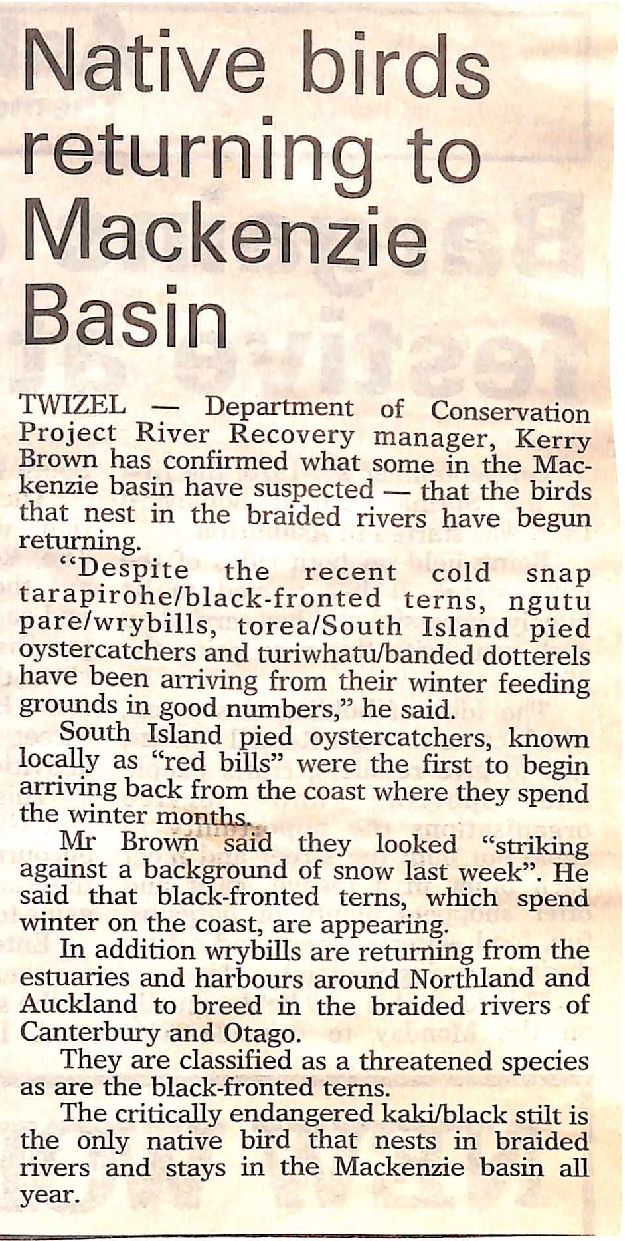 Native birds returning to Mackenzie Basin