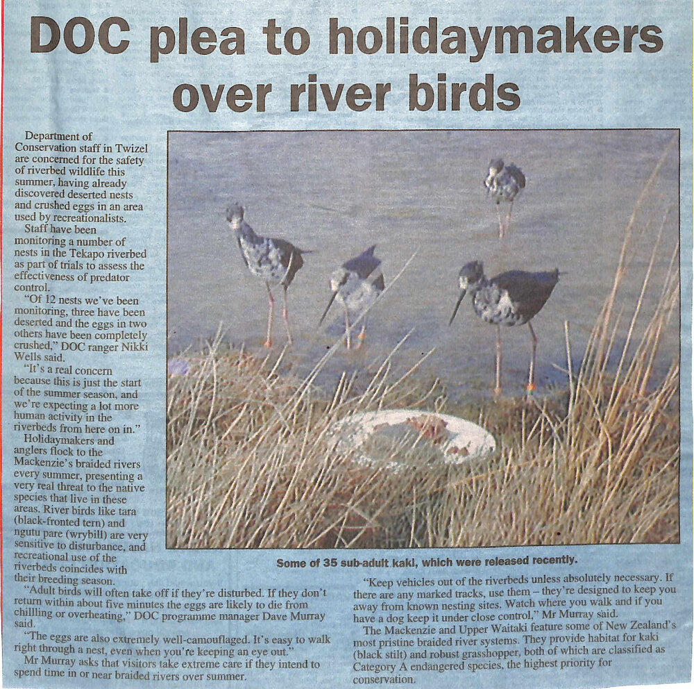DOC plea to holidaymakers over river birds