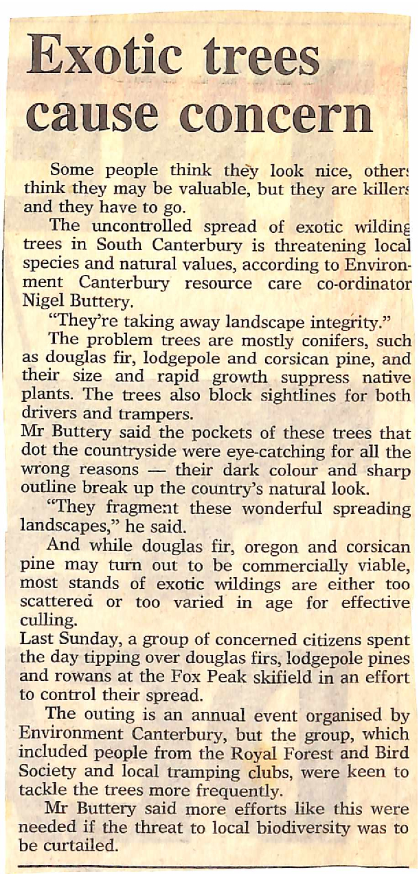 Exotic trees cause concern