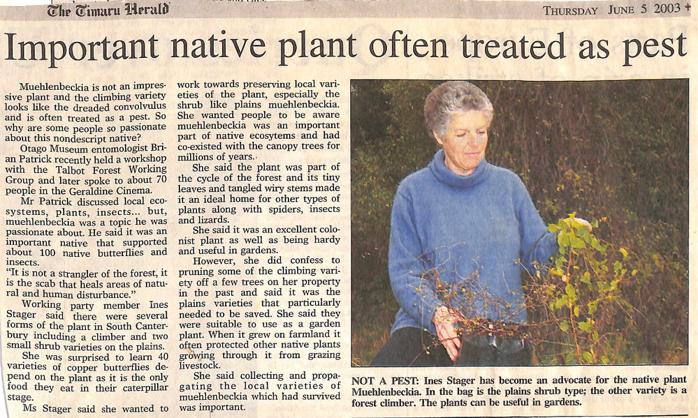 Important native plant often treated as pest