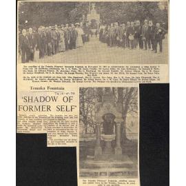 Temuka Fountain 'Shadow Of Former Self'