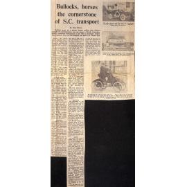 Bullocks, horses the cornerstone of SC transport