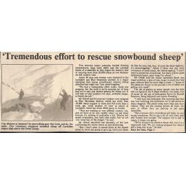  'Tremendous effort to rescue snowbound sheep'