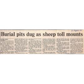 Burial pits dug as sheep toll mounts