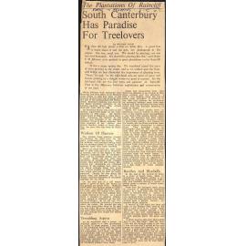 The Plantations of Raincliff: SC Has Paradise For Treelovers / Triumph Of The Tree