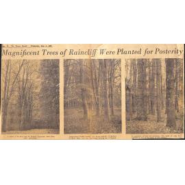 Magnificent Trees of Raincliff Were Planted for Posterity / Nature Has a Firm Friend in Maj P H Johnson