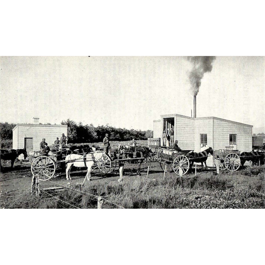 Studholme
