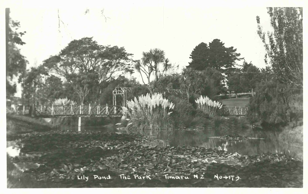 Lily Pond The Park Timaru NZ