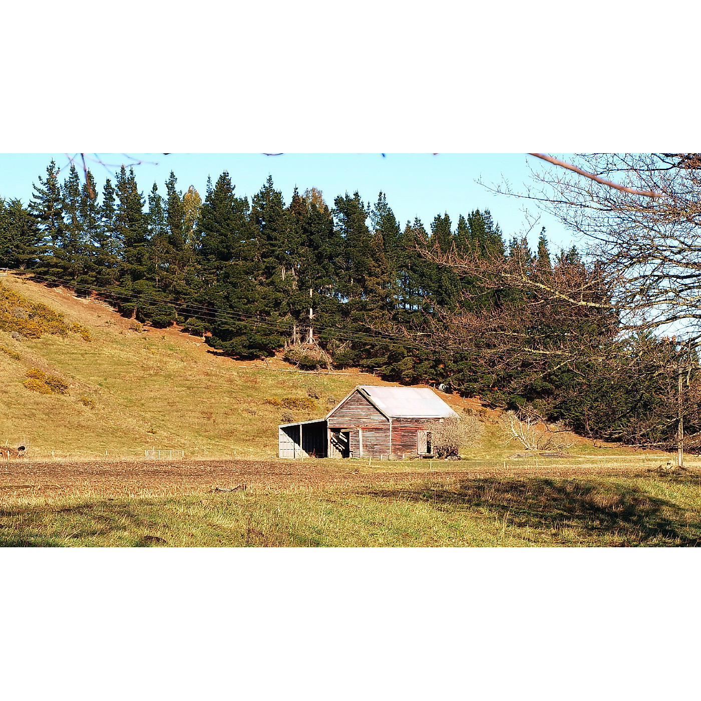 Waihao Downs