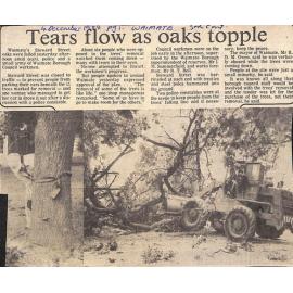 Tears flow as oaks topple