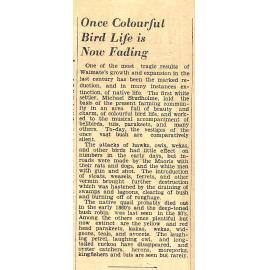 Once Colourful Bird Life is Now Fading