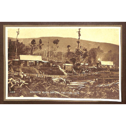 Waimate Bush Fire 1878
