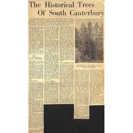 The Historical Trees of South Canterbury