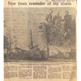 New trees reminder of big storm