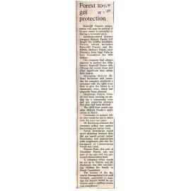 Forest to get protection