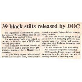 39 black stilts released by DOC