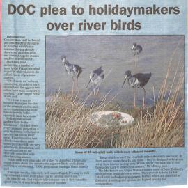 DOC plea to holidaymakers over river birds