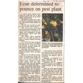 Ecan determined to pounce on pest plant