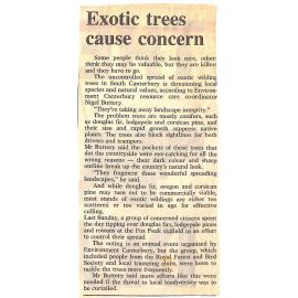 Exotic trees cause concern