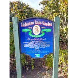 The Anderson Rose Garden