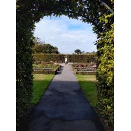 The Anderson Rose Garden