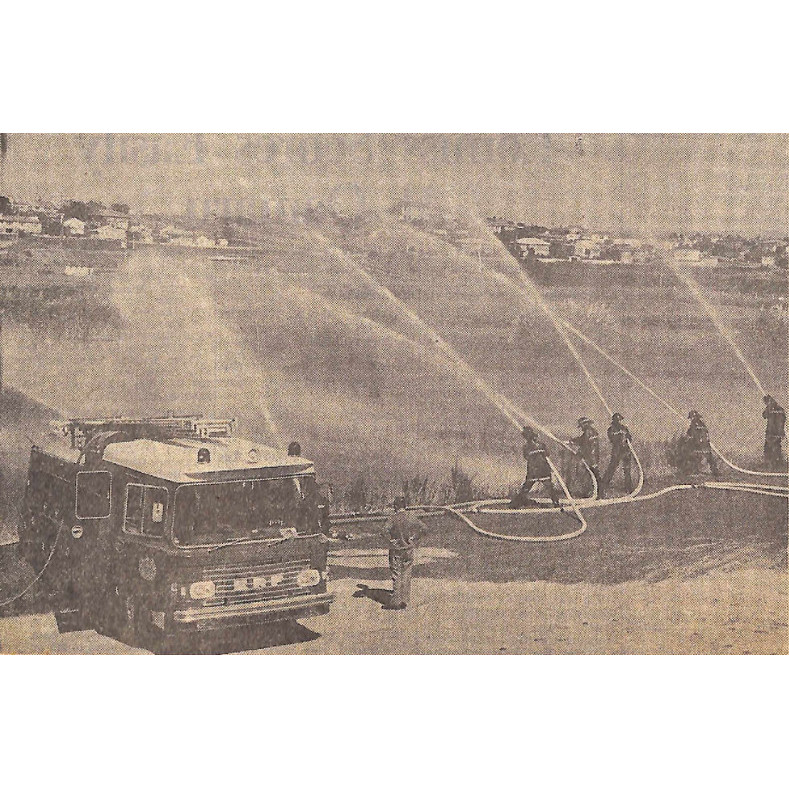 Timaru Fire Brigade