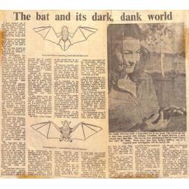 The bat and it's dark, dank world