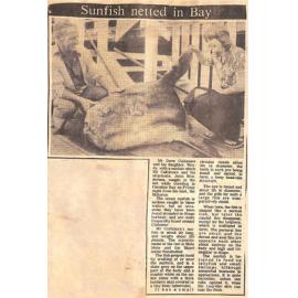 Sunfish netted in bay