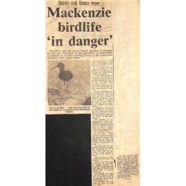 Stray cat fears held: Mackenzie birdlife 'in danger'