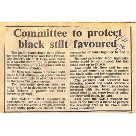 Committee to protect black stilt favoured
