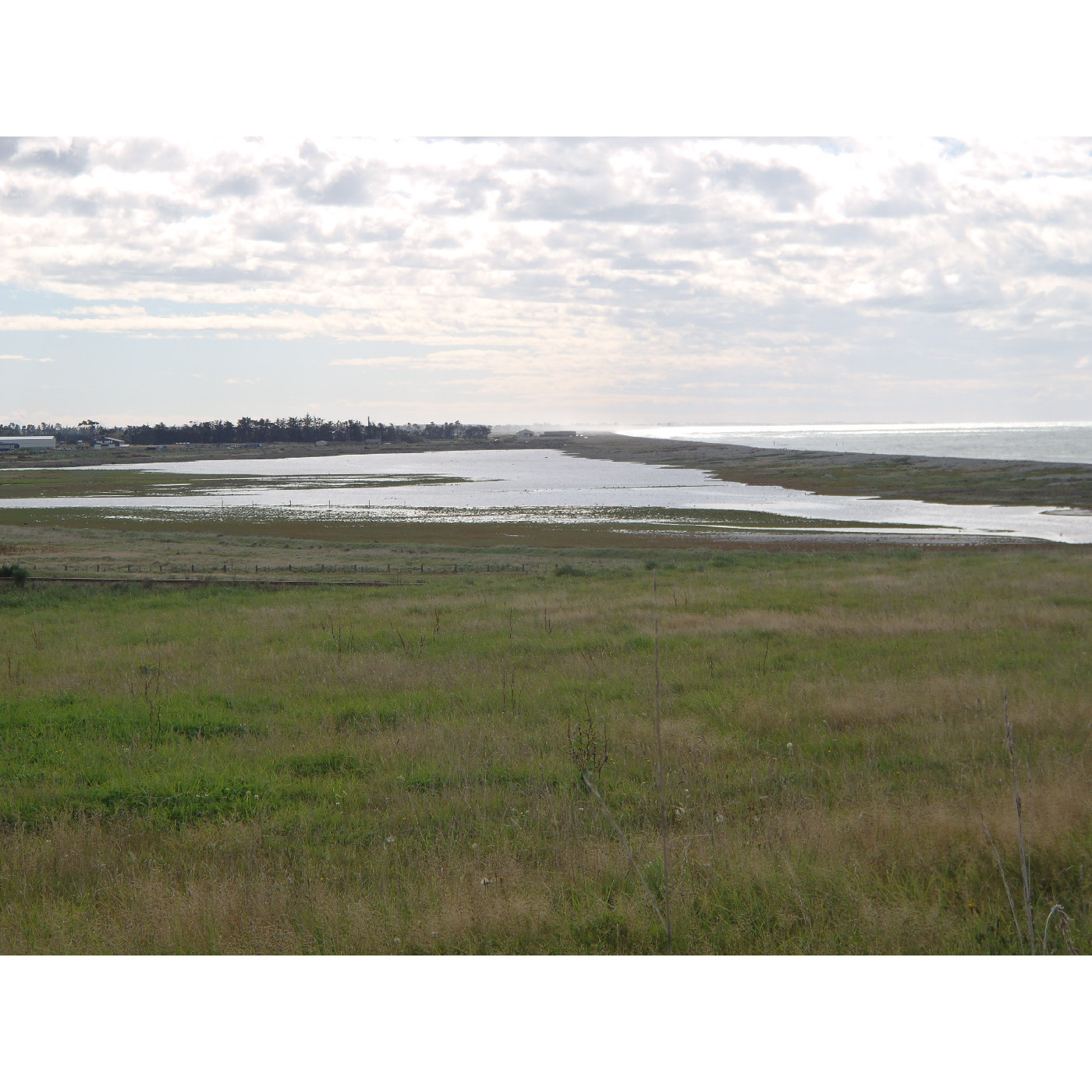 Waitarakao/Washdyke Lagoon