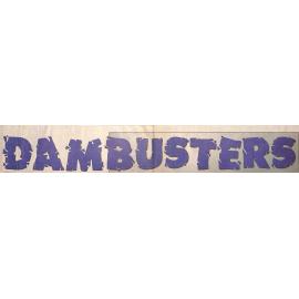 Dambusters: Opuha's Tangled Legacy