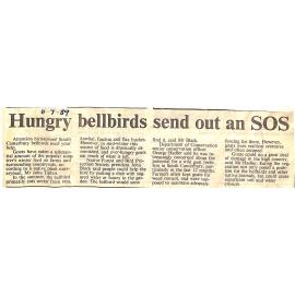 Hungry bellbirds send out an SOS