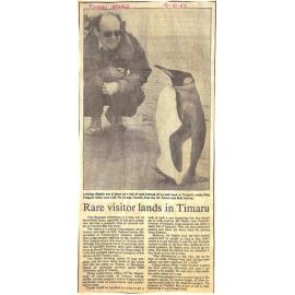 Rare visitor lands in Timaru