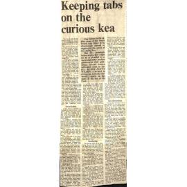 Keeping tabs on the curious kea