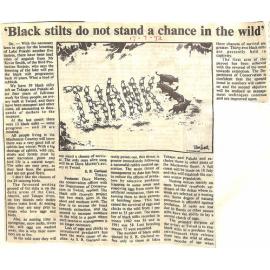 Letter to the editor: 'Black stilts do no stand a chance in the wild'