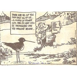 Tom Scott Lake Pukaki/Black stilts cartoon