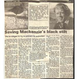 Saving Mackenzie's black stilt: 'We're obliged to try to prevent it's extinction'