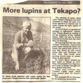 More lupins at Tekapo?