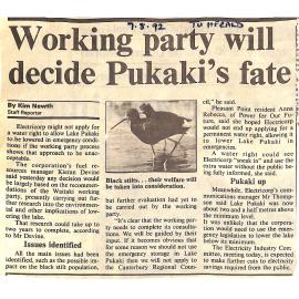 Working party will decide Pukaki's fate