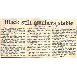 Black stilt numbers stable