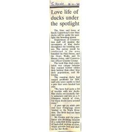 Love life of ducks under the spotlight