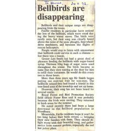 Bellbirds are disappearing