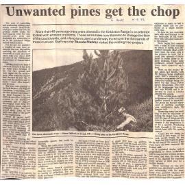 Unwanted pines get the chop