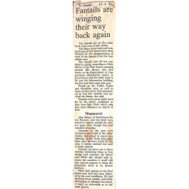 Fantails are winging their way back again