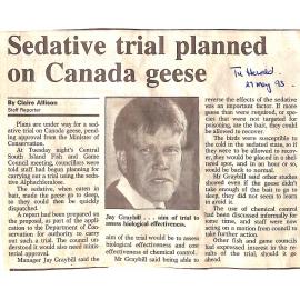 Sedative trial planned on Canada geese