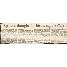 Spare a thought for birds, says SPCA