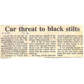 Car threat to black stilts