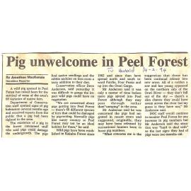 Pig unwelcome in Peel Forest